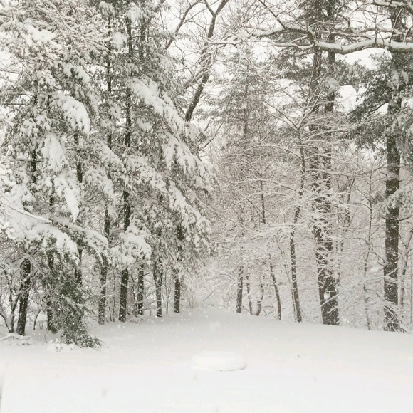 Meet your Posher, Tina - Picture 1 of 1